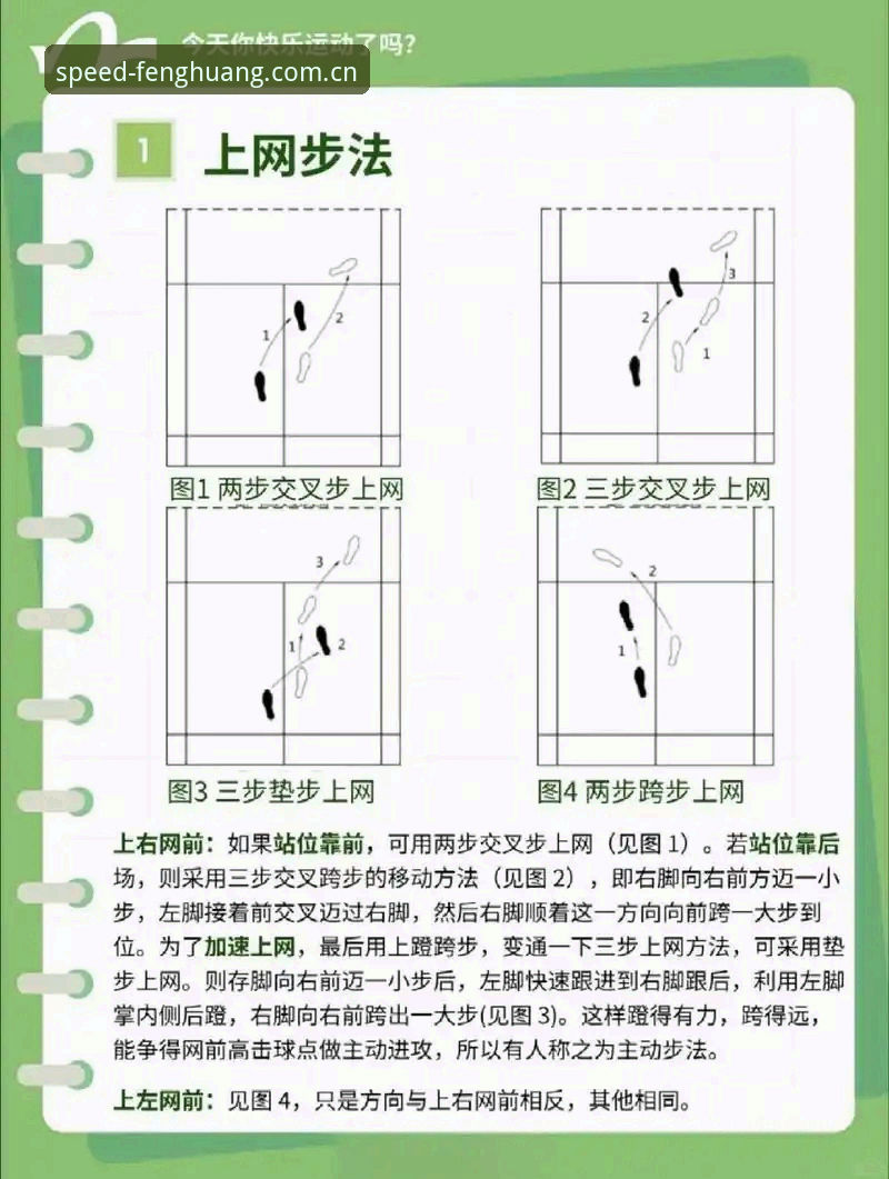 凤凰体育平台备用网址安装教程：官网正版vs第三方镜像，傻傻分不清？
